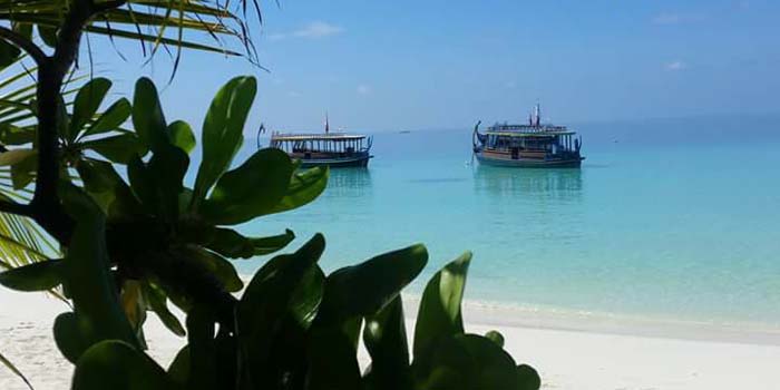 estero 3 elopment wedding